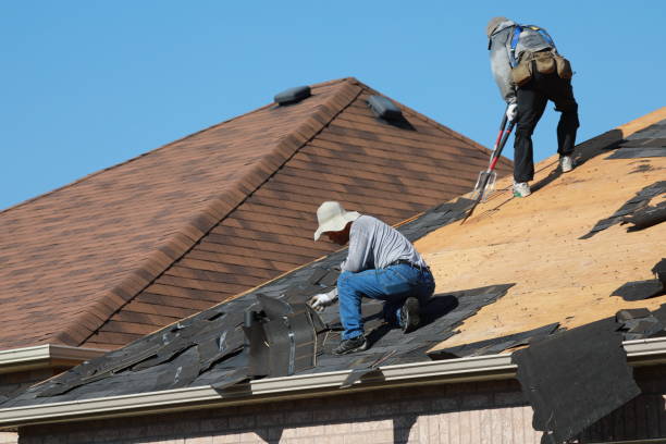 Best Metal Roofing Installation  in Toquerville, UT